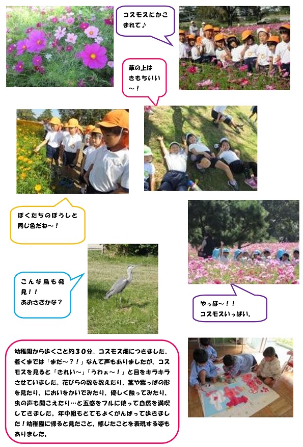 h301029kosumosubatake_2.jpg