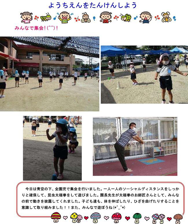 そのだっ子No９５.jpg