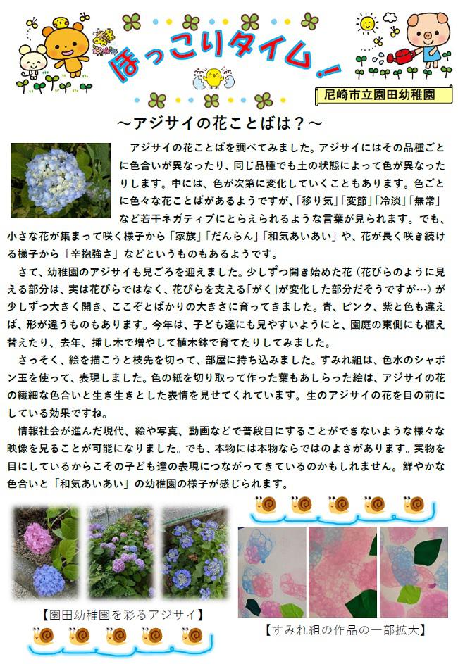 R08_sonoda_0610_1.jpg