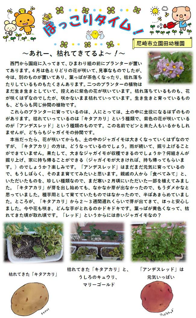R08_sonoda_0612_1.jpg
