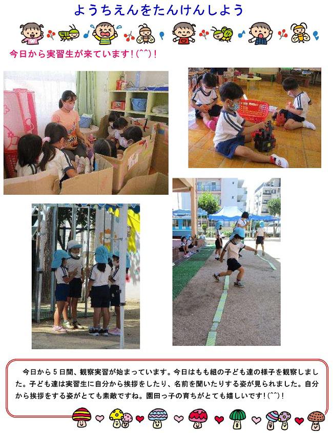そのだっ子Ｎｏ.９４.jpg