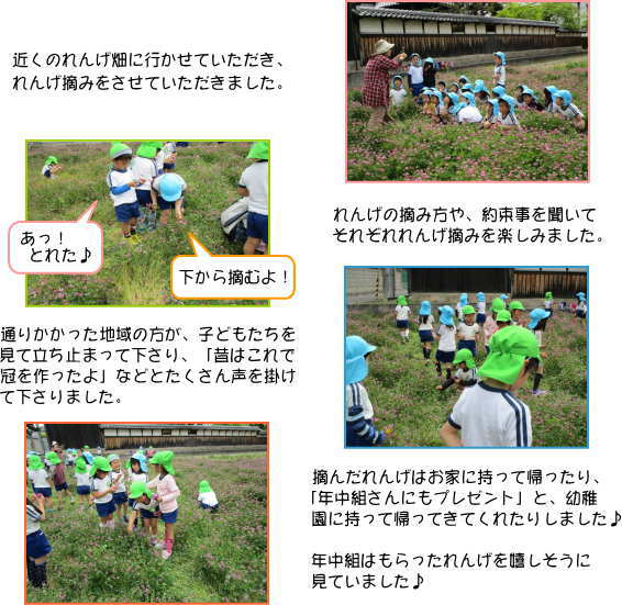 h260428renge.jpg