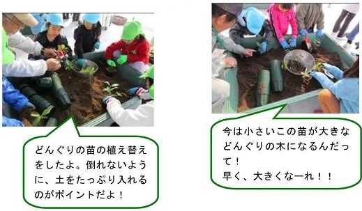 h270108momichanensoku2.jpg