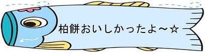 h270518kodomonohi2.jpg