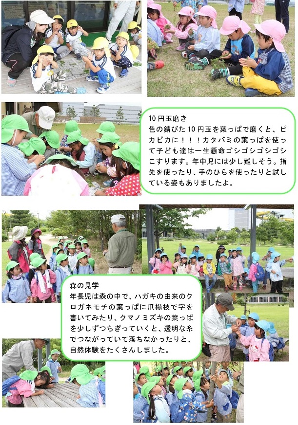 h270730amagasakinomori2.jpg