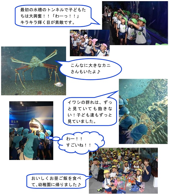 h280120kaiyukan.jpg