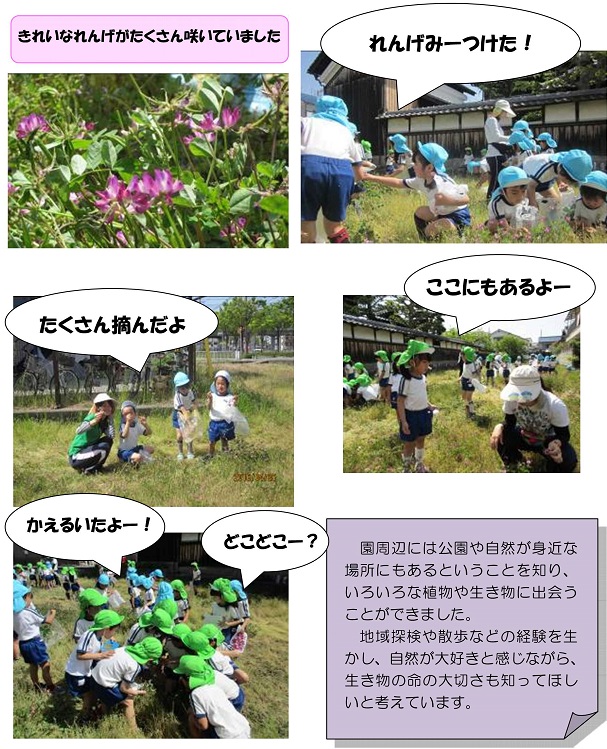 h280525rengebatake1.jpg