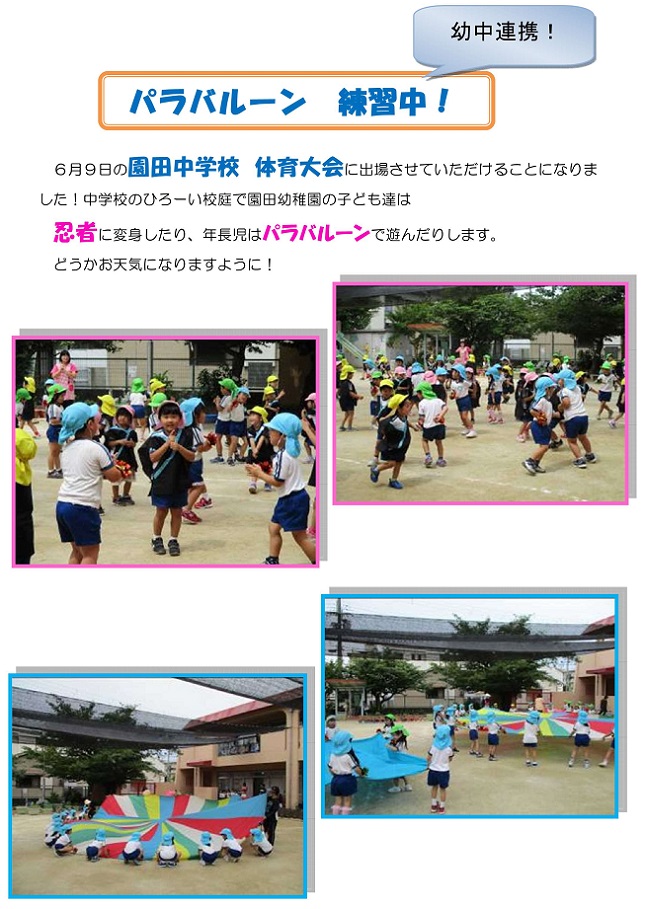h300606parabaloon.jpg