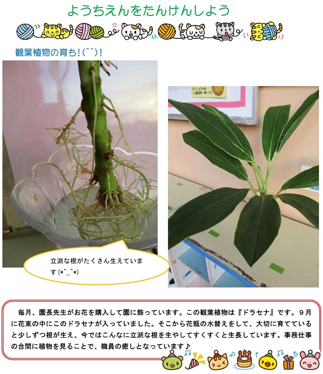r021223sonoda157.jpg