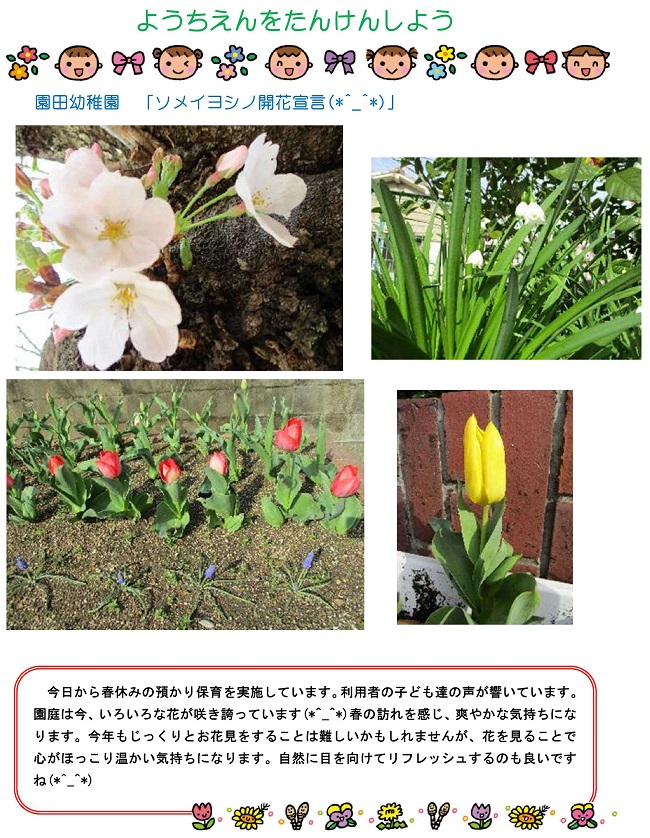r030322sonoda211.jpg