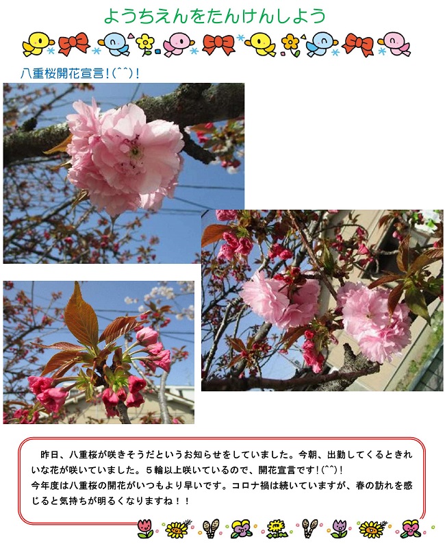 r030402sonoda002.jpg
