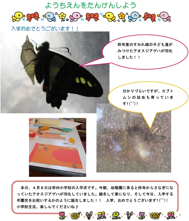 r030408son0da004.jpg