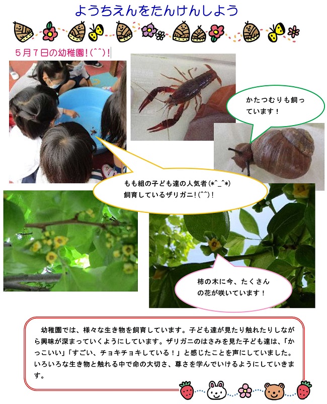r030507sonoda020.jpg