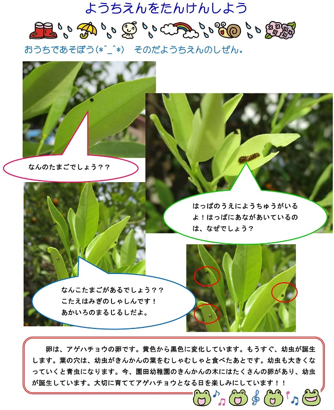 r30603sonoda039pdf.jpg