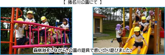 猪名川公園では、森林浴をしながら、公園の遊具で思い切り遊びました。