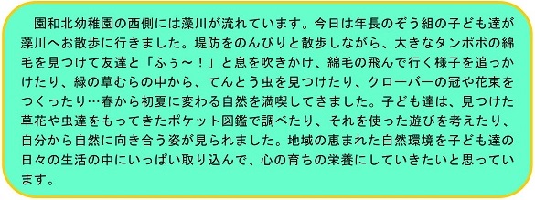 h270507osanpo2.jpg