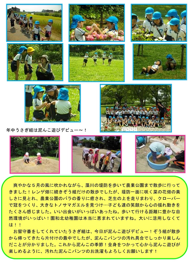 h290511wakitakkonikki22.jpg