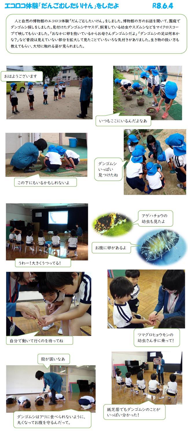 R08_ozono_0604_1.jpg