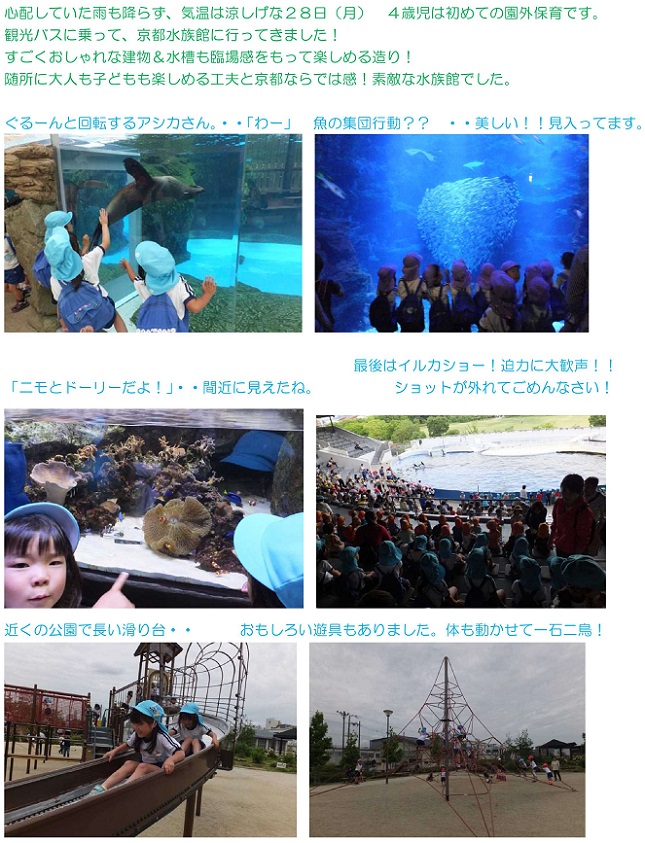 京都水族館に行ってきました 尼崎市立小園幼稚園