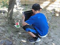 ags0371.jpg