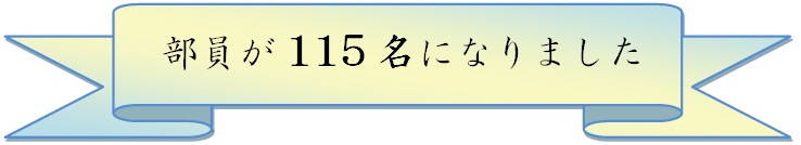 115lɂȂ܂