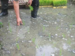 DSCF6429.jpg