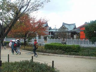 DSCF7055.jpg