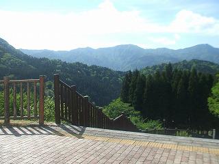 DSCF7744.jpg