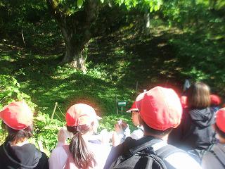 DSCF7745.jpg