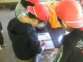 DSCF7775.jpg