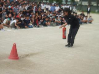 DSCF7972.jpg