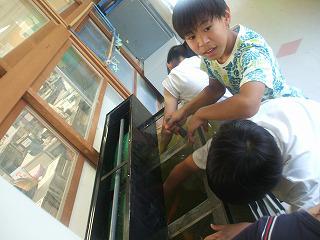 DSCF8015.jpg