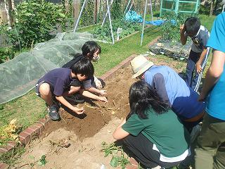 DSCF8017.jpg