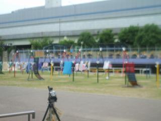 DSCF8058.jpg