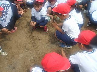 DSCF8094.jpg