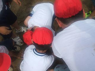 DSCF8095.jpg