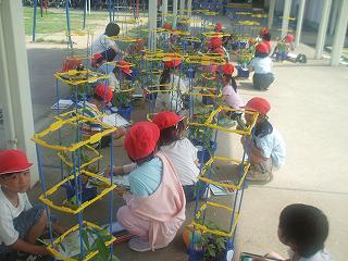 DSCF8149.jpg