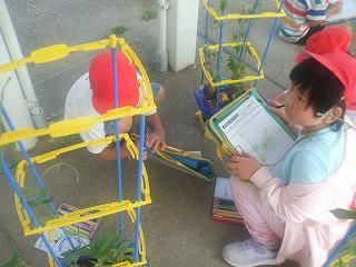 DSCF8156.jpg