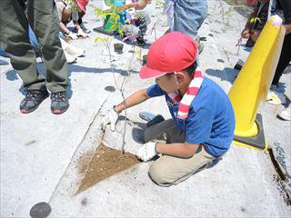 DSCN2166_R.JPG