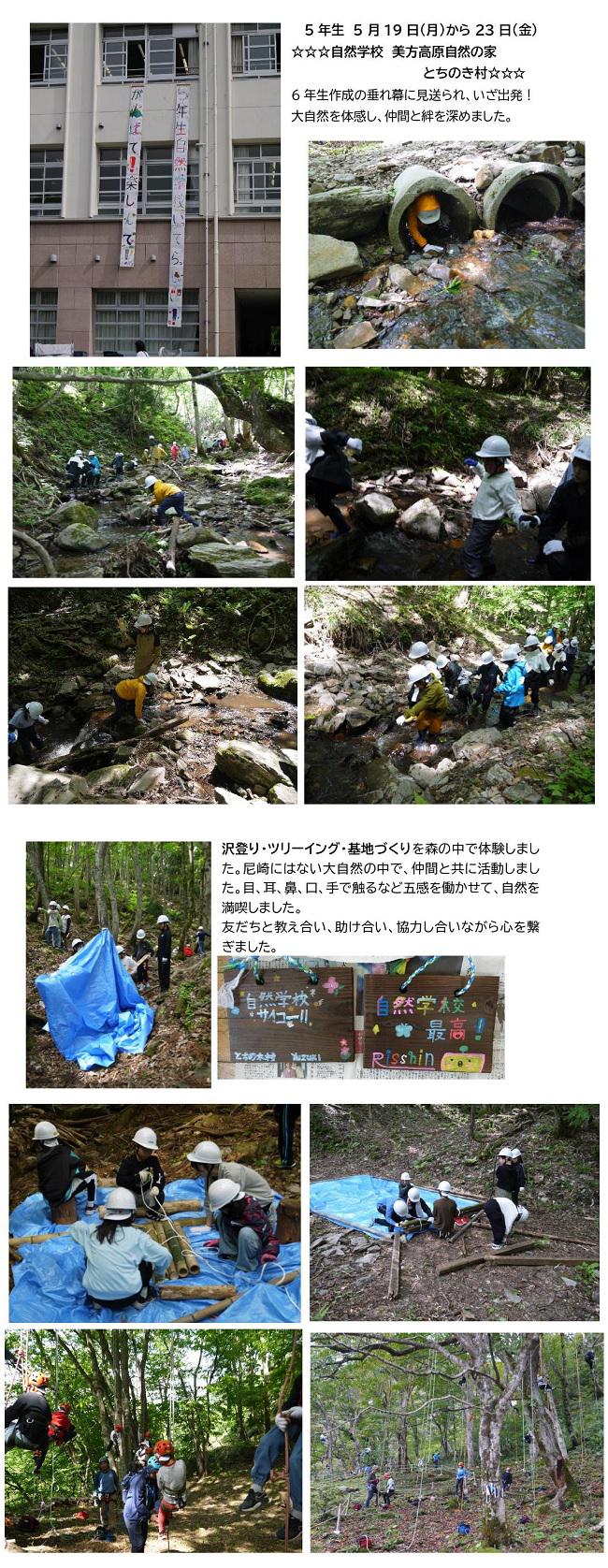 R07_shizen_1.jpg