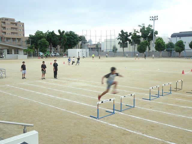 DSC07027.jpg