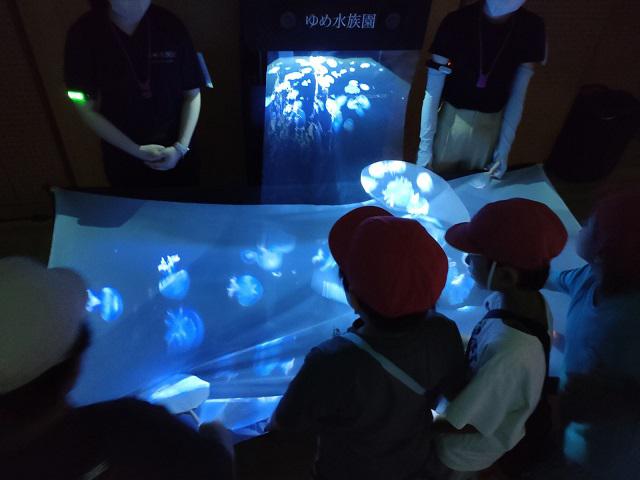 0703あまよう水族園③.jpeg