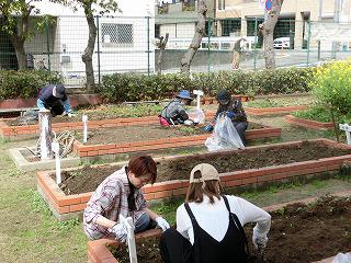 花と緑のボランティア活動③.jpg