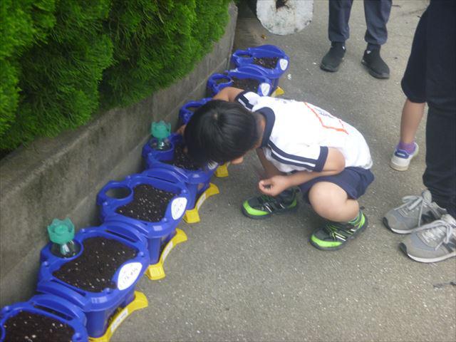 P1080878_R.JPG