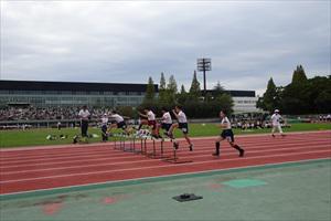 DSC06798_R.JPG