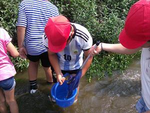 DSCF0094_R.JPG