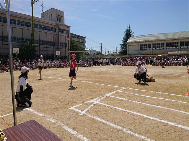 DSC_3533_R.JPG
