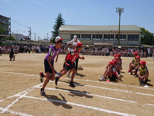 DSC_3534_R.JPG