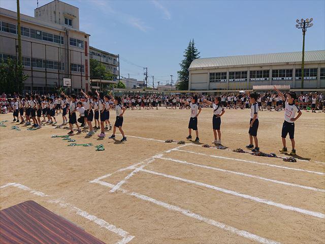 DSC_3558_R.JPG