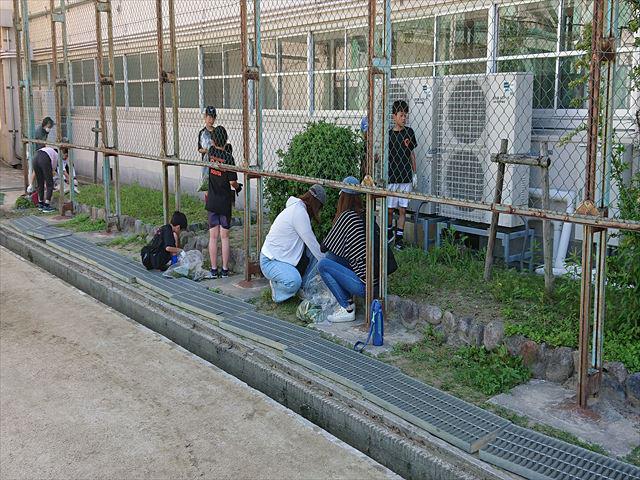 DSC_3570_R.JPG
